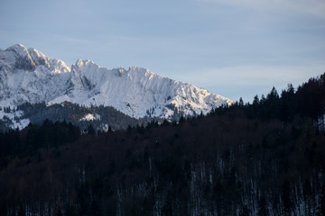 Leafless forest in the foreground with rugged mountain range in the background