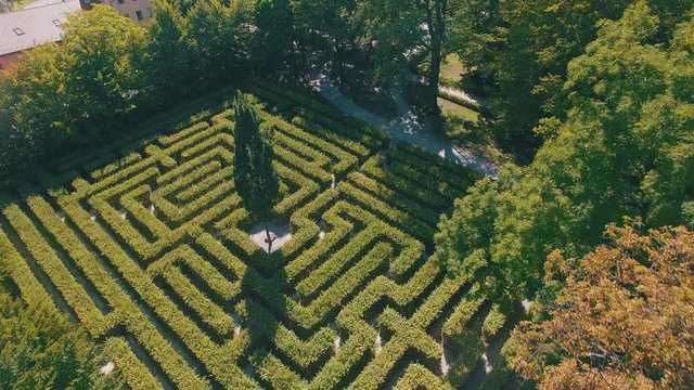Hedge maze in city park. Labyrinth in the bushes. Beautiful summer in town, green trees. Woman is walking through a maze - 4K Drone Footage