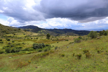 Fototapeta premium Typical Colombia Landscape