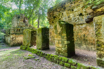 Fototapeta premium Yaxchilán ist eine historische Maya-Stadt am Fluss Usumacinta zwischen Mexiko und Guatemala