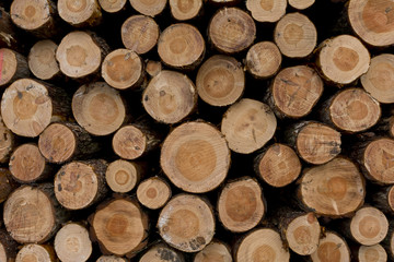 Wood piles background. Close-up view.