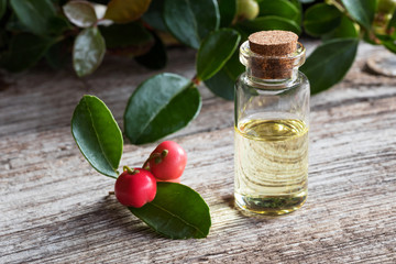 A bottle of wintergreen essential oil on white painted wood