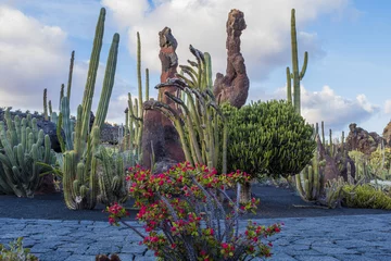 Schilderijen op glas Cactus garden in Guatiza village, Lanzarote, Canary Islands, Spain  © vitaprague