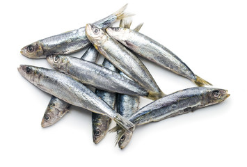 Raw sardines fish.