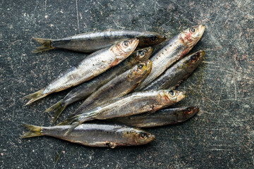 Raw sardines fish.