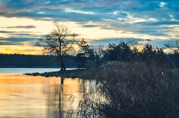 Beautiful morning landscape. Tree on the peninsula at the lake at sunrise.