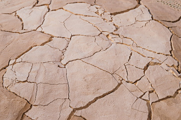 Cracked clay texture