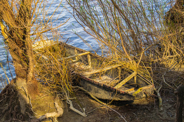 Naklejka premium old abandoned boats on the Danube River