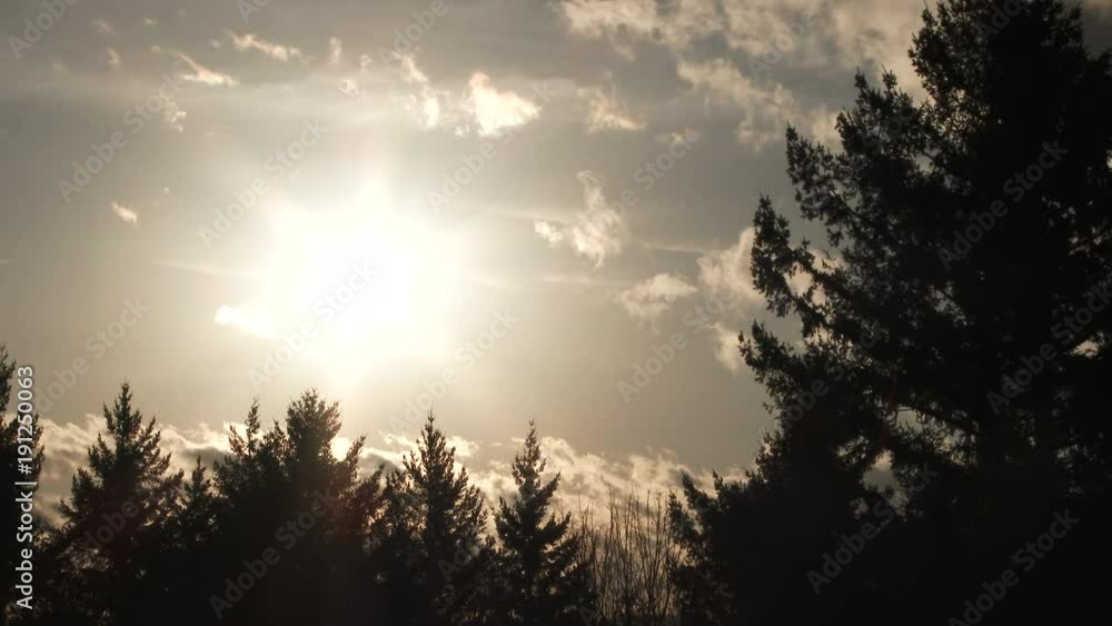 Wall mural sunset time lapse transition from day to night on cloudy evening with forest trees framing edge.