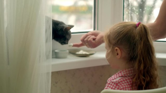 a little girl is feeding a cat sitting by the window