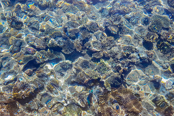 underwater rocks in turquoise sea