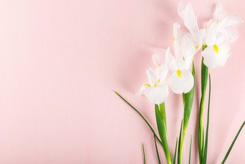 Fototapeta na wymiar Bouquet of Beautiful Iris Flowers