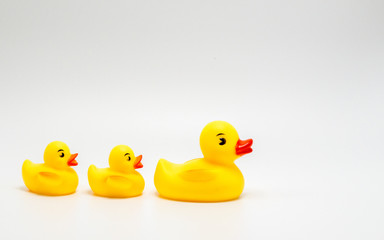 3 bright yellow rubber ducks in a row isolated on a solid background