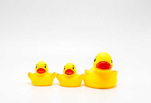 2 bright yellow rubber ducks in a row facing forward isolated on white