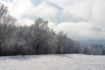 Fototapeta na wymiar Beautiful winter landscape