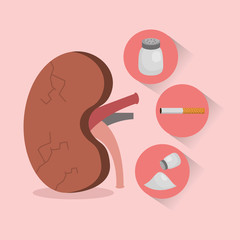 cartoon kidney cigar salt health disease vector illustration