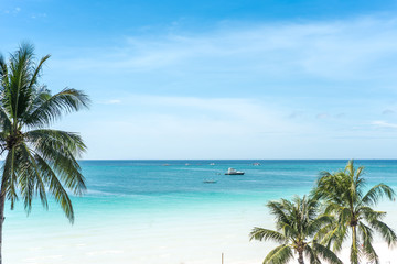 Fototapeta na wymiar Palm and tropical beach, tropical background