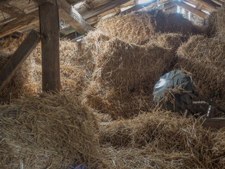 Hay in old barn