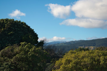 Fototapeta na wymiar Tararua Mountain Range from Raumati Beach, New Zealand