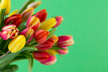A colorful spring greetings card with tulips for Easter, Mother's Day. © gitusik