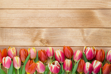 Spring easter tulips in bucket on wooden vintage background.