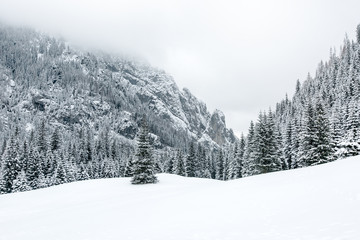 Zimowy widok w Dolinie Kościeliska. © Michał Magiera