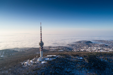 Obraz premium TV tower in forest