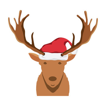  deer with christmas hat