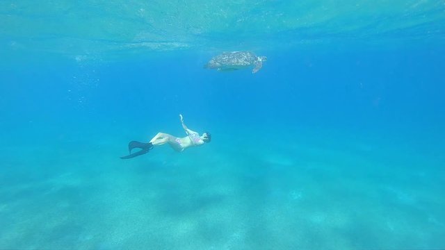 Girl Freediving Admiring Giant Sea Turtle Red Sea Egypt  Marsa Alam