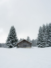 Berghütte zwischen verschneiten Tannen