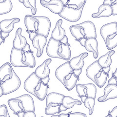 Sketch Ink Human liver, hand drawn seamless Pattern Background, Engraved Anatomical illustration. Vector