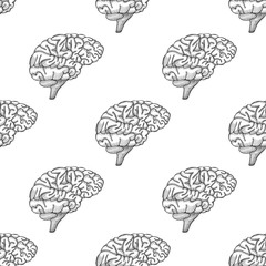 Engraving brain illustration, Hand Drawn Anatomical seamless pattern. Vector