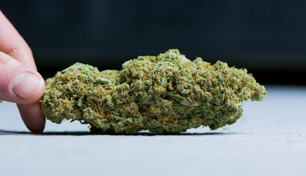 Grosse Cannabis Bl&uuml;te