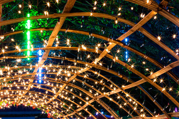 Many lights with bamboo frames.