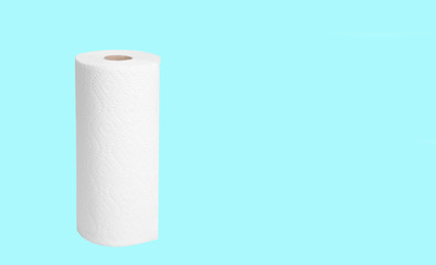 Paper towel roll