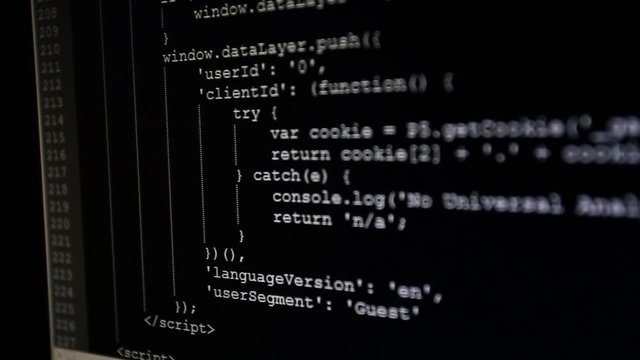 On the monitor initial codes are entered. The source code the text of the computer program