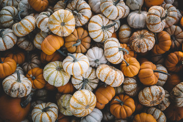 Pumpkins