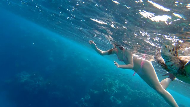 Girl Freediving Admiring Giant Sea Turtle Red Sea Egypt  Marsa Alam
