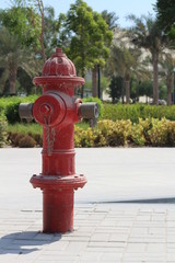 Fototapeta na wymiar Red Hydrant in Doha Qatar