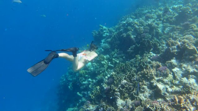 Tourist Snorkeling Turquoise Water and Beautiful coral reef Red Sea Egypt