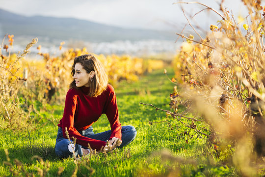 Young beautiful girl in the field. She wears a red sweater and jeans.