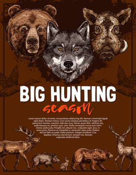 Wild animal and bird poster of open hunting season
