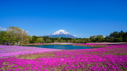 富士山遠景