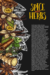 Obraz premium Herb and spice chalkboard banner with spicy plant