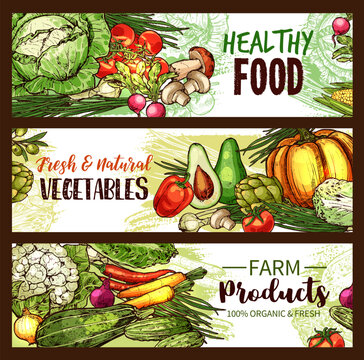 Vegetable, fruit, mushroom banner of fresh veggies