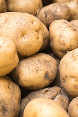 土のついたジャガイモ