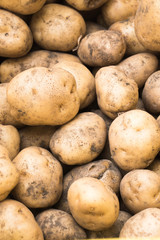 土のついたジャガイモ