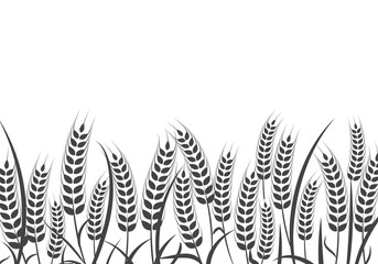 Fototapeta na wymiar Agriculture wheat vector Illustration design