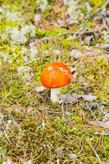 Nuuksio National Park