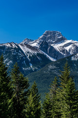 Snowy mountain with bright green trees and clear blue sky